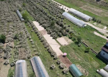 Zarar gören tarım arazileri havadan görüntülendi