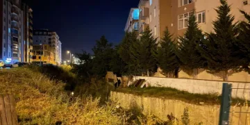 Yılan yuvası