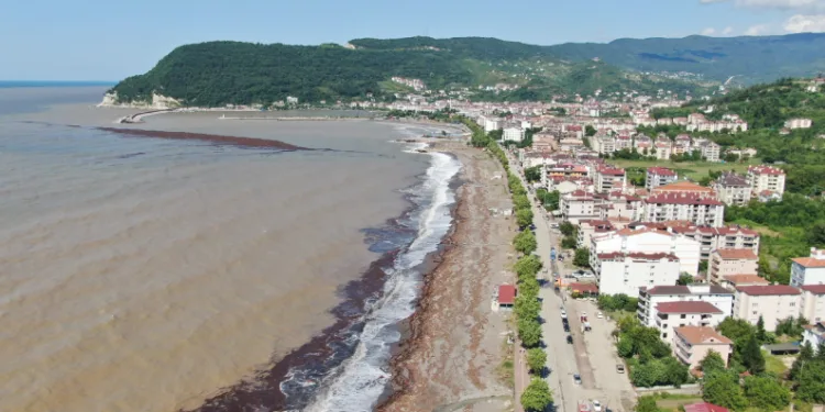Turist ağırlayan sahil çamurla kaplandı