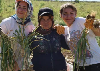 Her gün 200 kilometre yol kat ediyorlar