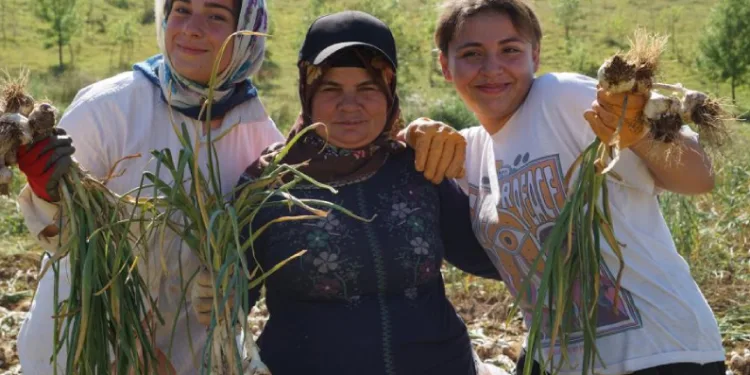 Her gün 200 kilometre yol kat ediyorlar
