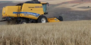“Susuzluk” krizi