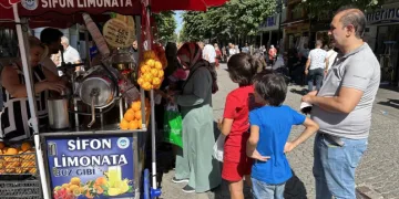 Sıcak havayı gören limonataya koşuyor