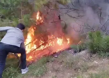 Ormanlara giriş yasaklandı