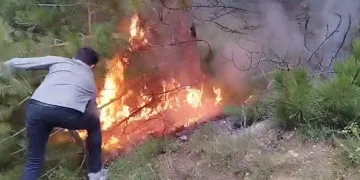 Ormanlara giriş yasaklandı
