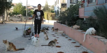 Kedilerin annesi