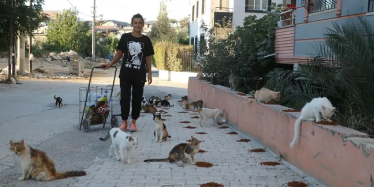 Kedilerin annesi
