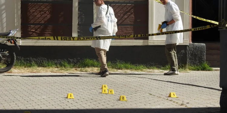 Park kavgası kanlı bitti
