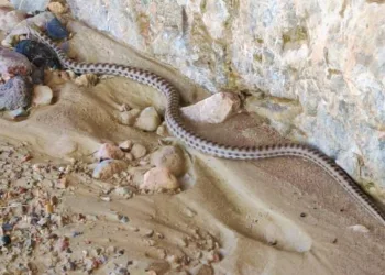 Yerleşim alanları bozuldu