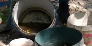 Artan sivrisinekler hastanelere başvuruları artırdı