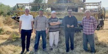 Çiftçilere ata tohumu dağıtılacak