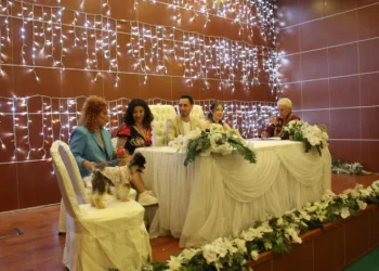 Nikah masasında köpekler