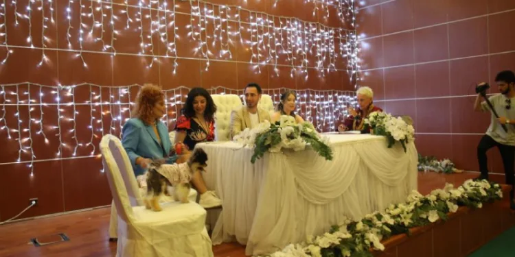 Nikah masasında köpekler