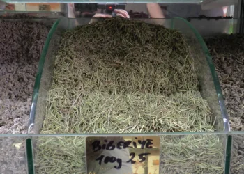 Terlemeye karşı bitkisel çözüm