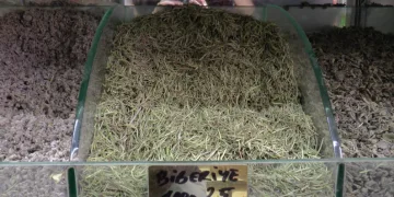 Terlemeye karşı bitkisel çözüm