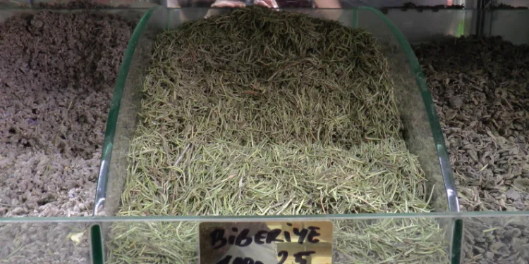 Terlemeye karşı bitkisel çözüm