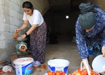 Kavurucu sıcakta salça yapımı