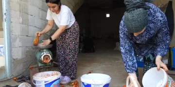 Kavurucu sıcakta salça yapımı