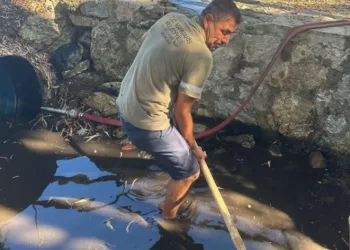 Derelerde temizlik mesaisi