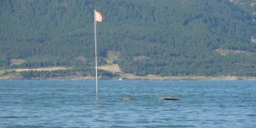 Yürünebilen yerde şimdi balık avlanıyor