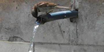 Çeşmede serinlediler