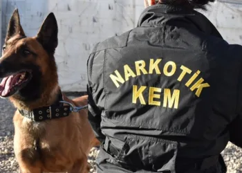 3 tutuklama, 1 adli kontrol