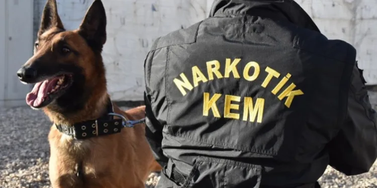 3 tutuklama, 1 adli kontrol
