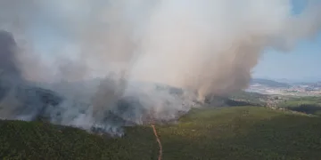 Orman yangını havadan görüntülendi