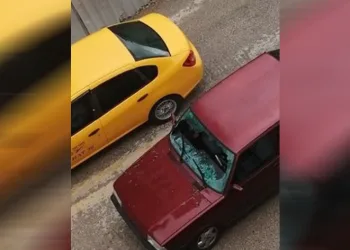 Köpekten kaçarken az daha eziliyordu