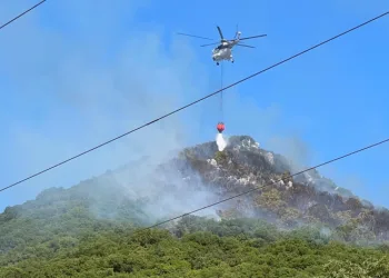 Yangın’a havadan ve karadan müdehale