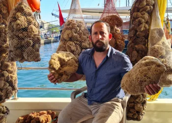 70-120 euro arasında satılıyor