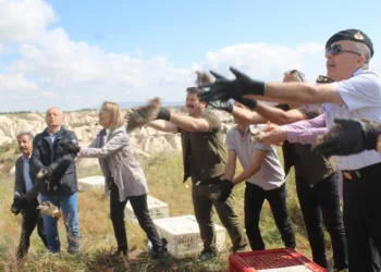 Kapadokya’da keneye keklikli çözüm