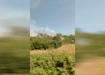 Yangına müdahale başlandı