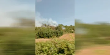 Yangına müdahale başlandı