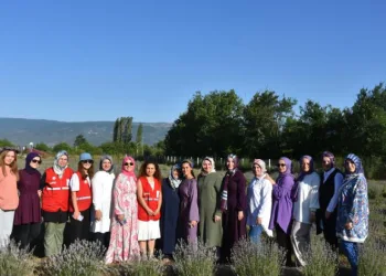 Kadın girişimci, lavanta üreticisi oldu