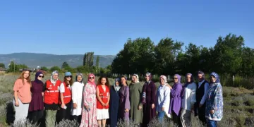 Kadın girişimci, lavanta üreticisi oldu