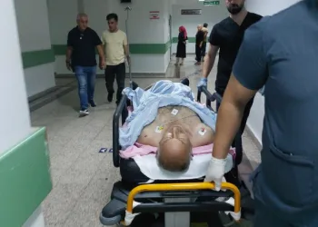 Kedileri kovduğu için bıçaklı saldırıya uğradı