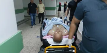 Kedileri kovduğu için bıçaklı saldırıya uğradı
