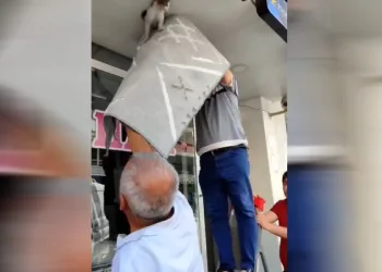 Kedi, led ışık sökülerek kurtarıldı