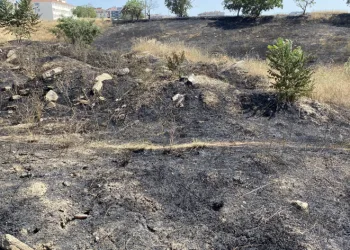Korkutan yangın