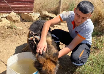 İlaçsız tedaviyle hayatlarına dönüyorlar