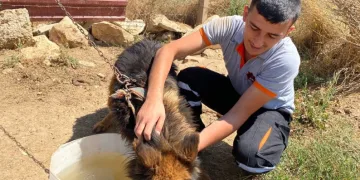 İlaçsız tedaviyle hayatlarına dönüyorlar