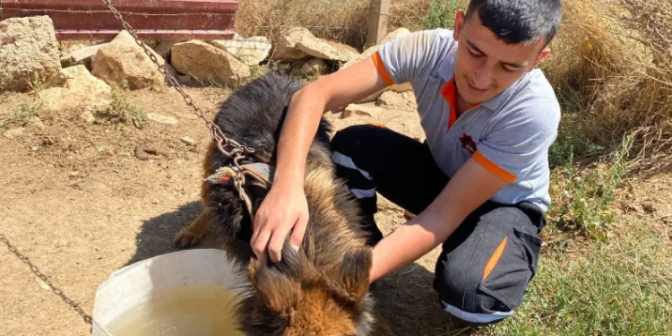 İlaçsız tedaviyle hayatlarına dönüyorlar