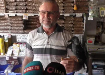 Karga 5 yıldır yanından ayrılmıyor