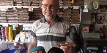 Karga 5 yıldır yanından ayrılmıyor