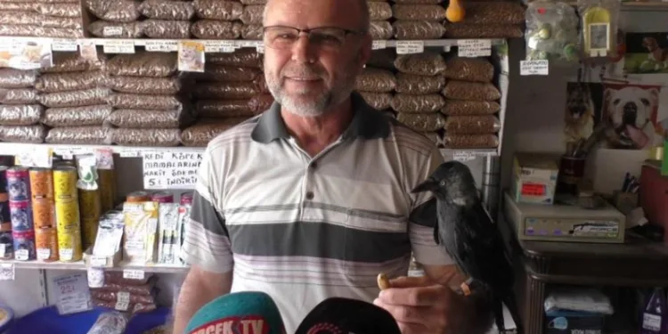 Karga 5 yıldır yanından ayrılmıyor
