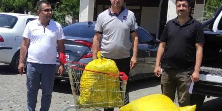 Salep soğanlarını tahrip edenlere ceza
