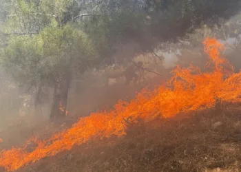 3 saatte kontrol altına alındı