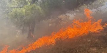 3 saatte kontrol altına alındı