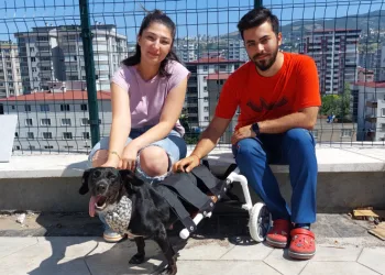 Yürüteçle yürüttüler